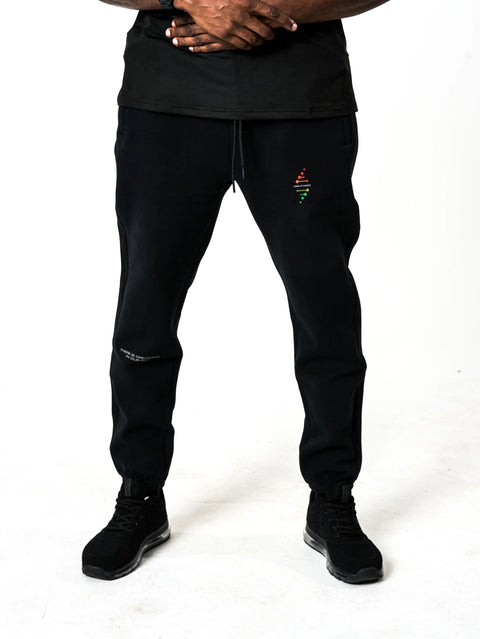 Unisex DNA Emblem Joggers