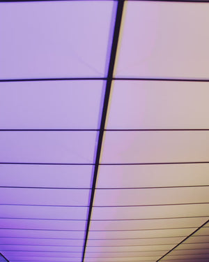 HBCU Performance Tech Hoodie PRAIRIE VIEW